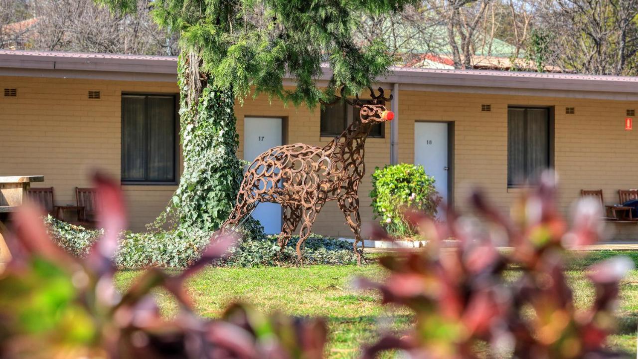 Hamilton Hume Motor Inn Yass Exteriér fotografie